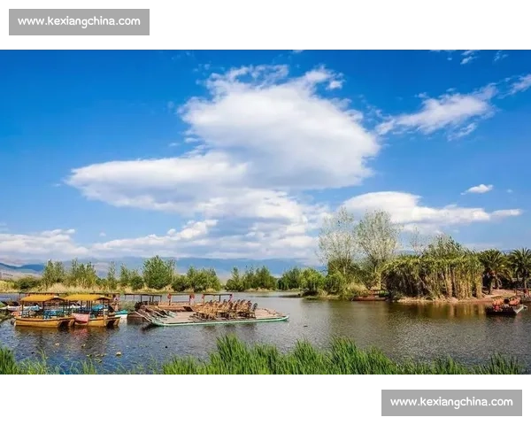 春节假期出行指南：如何规划旅程享受欢乐时光与亲友团聚