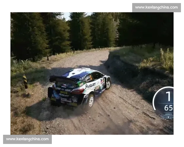WRC集锦：每一次过弯，都是对生命的考验
