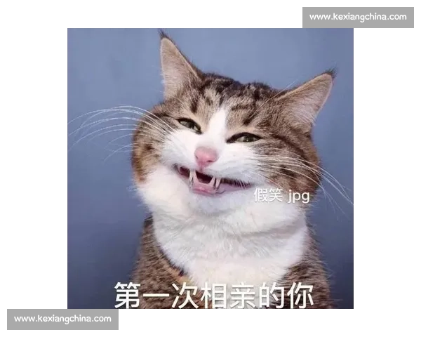 电竞解说金句频出,幽默点评引爆全网,笑出腹肌 电竞解说金句频出,幽默点评引爆全网,笑出腹肌